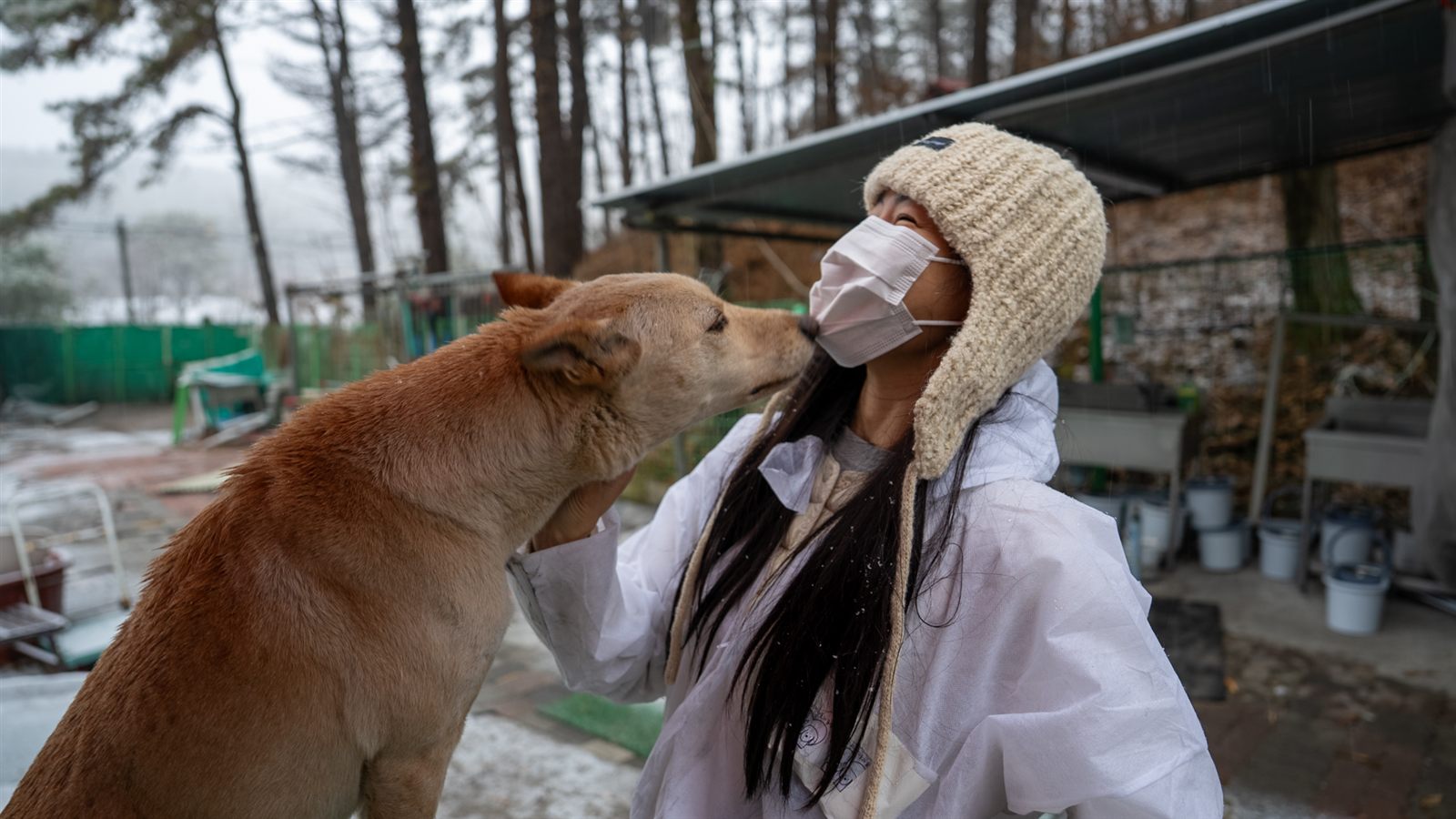 봉사자가 보호동물과 눈을 맞추며 교감하는 모습
